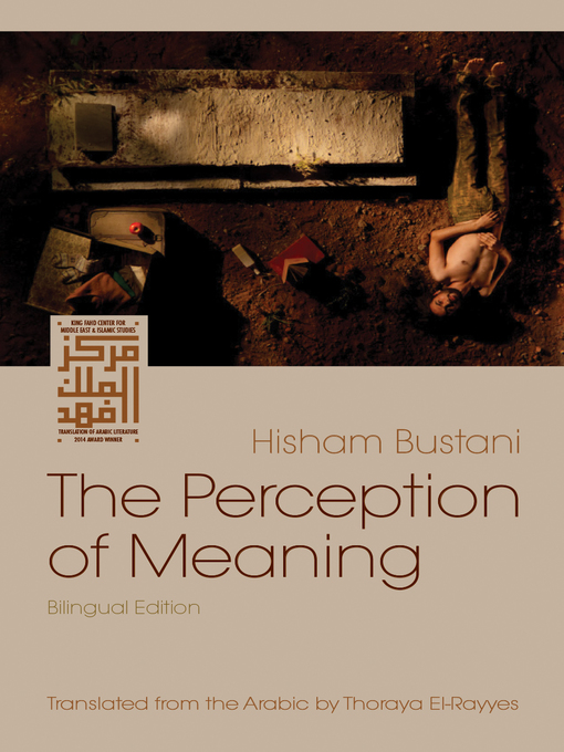 Cover image for The Perception of Meaning